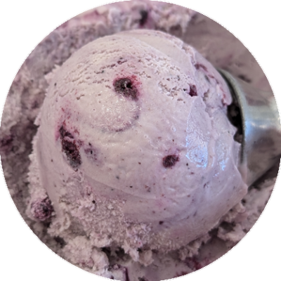 Twice-Cream-Blueberry-Goat-Cheese